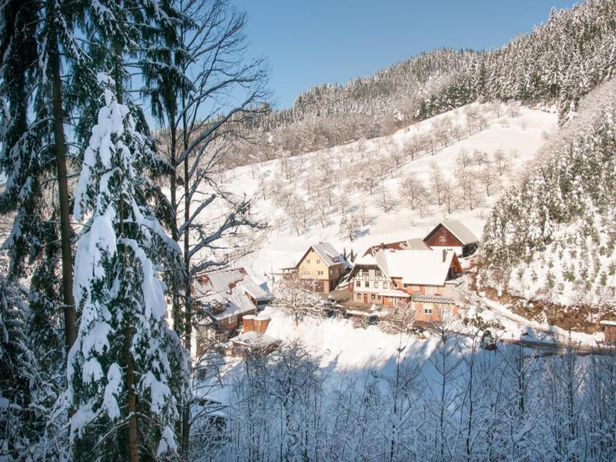 Ferienwohnung Schneckenhus Lautenbach Exterior photo