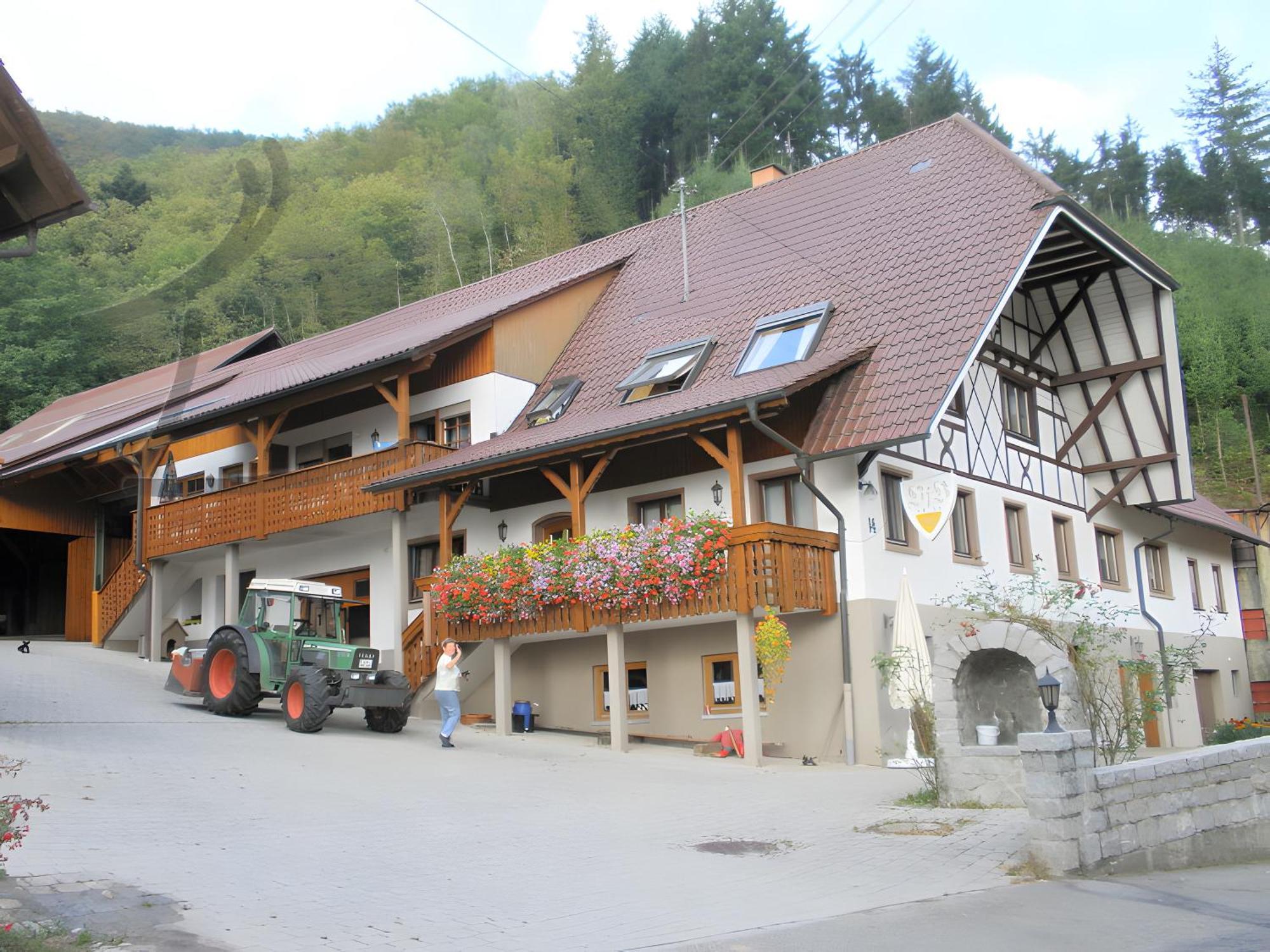 Ferienwohnung Schneckenhus Lautenbach Exterior photo